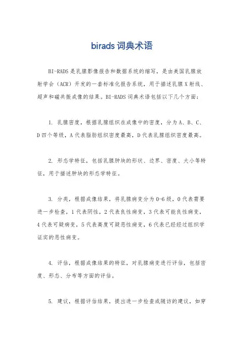 birads词典术语