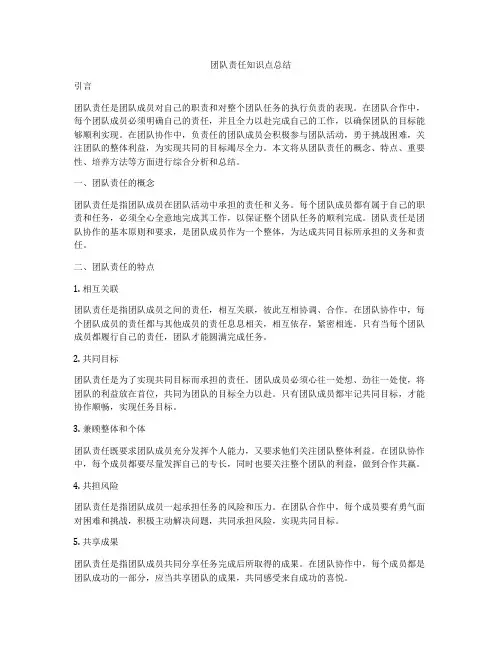 团队责任知识点总结