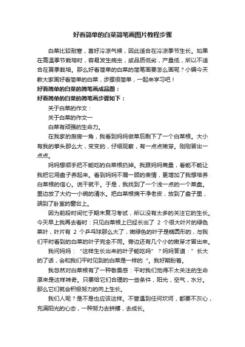 好看简单的白菜简笔画图片教程步骤