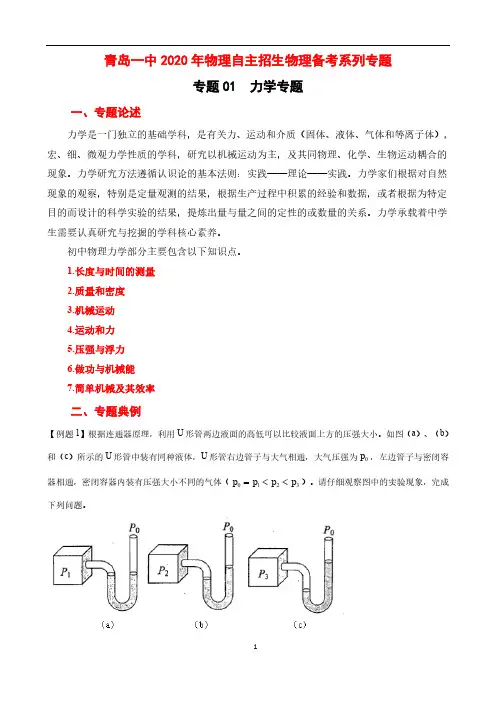 青岛一中2020年自主招生物理备考系列专题1：力学