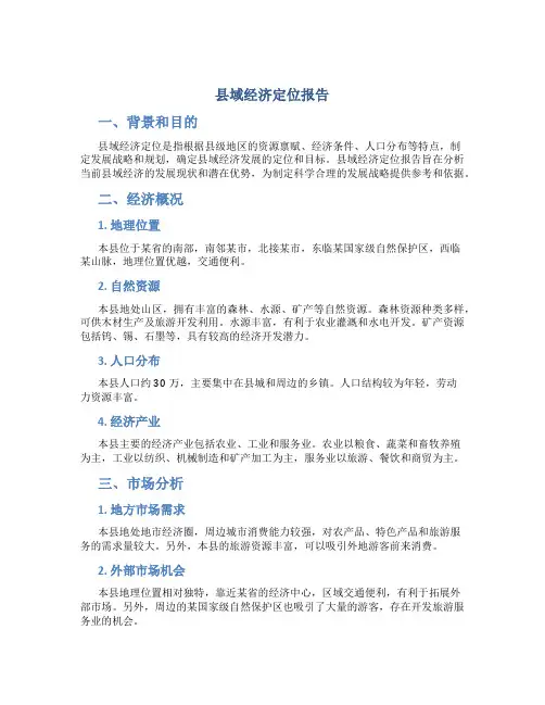 县域经济定位报告