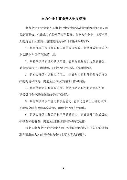 电力企业主要负责人定义标准