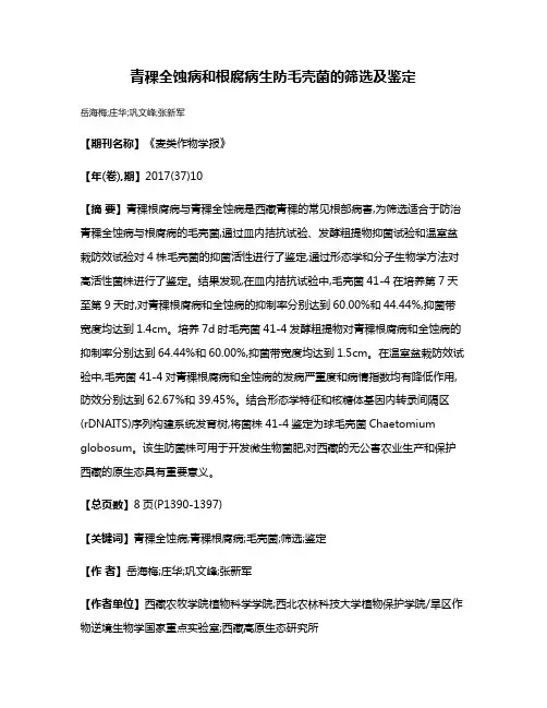 青稞全蚀病和根腐病生防毛壳菌的筛选及鉴定