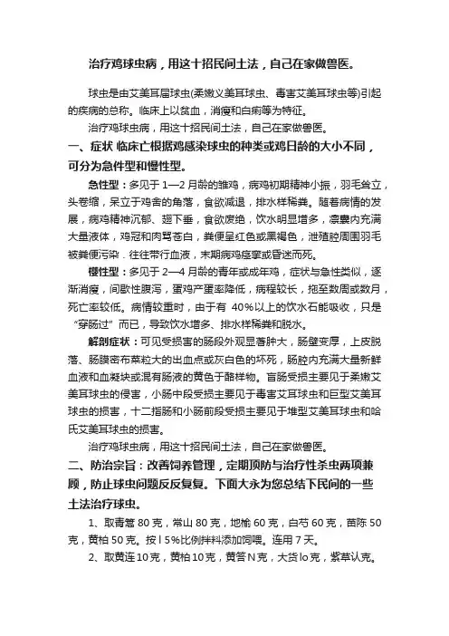 治疗鸡球虫病，用这十招民间土法，自己在家做兽医。