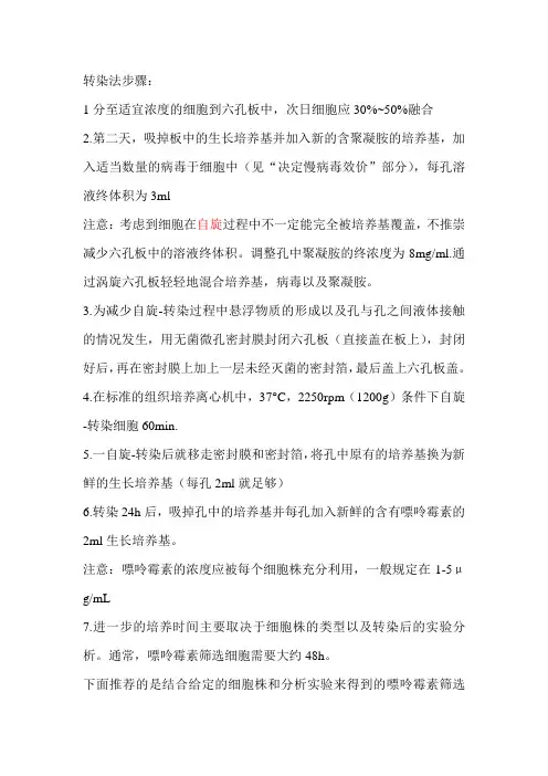 慢病毒转染步骤
