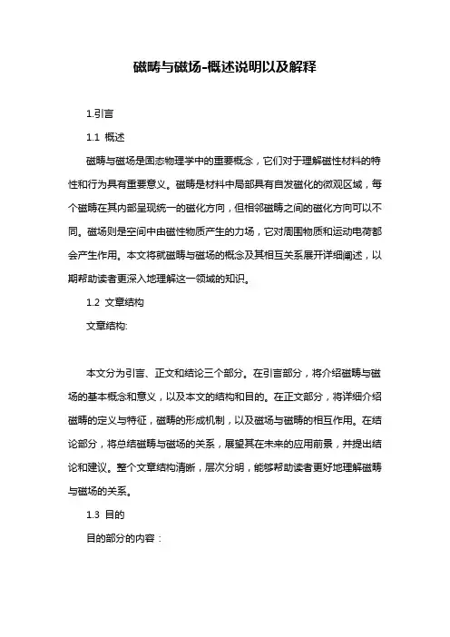 磁畴与磁场-定义说明解析