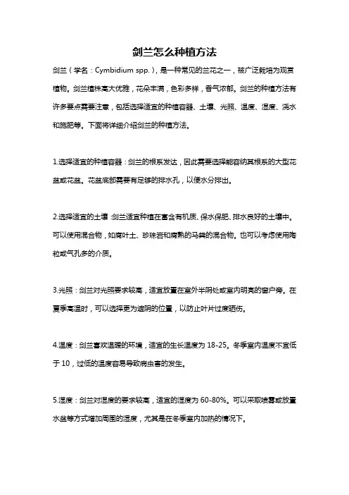 剑兰怎么种植方法