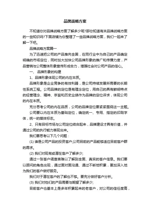 品牌战略方案