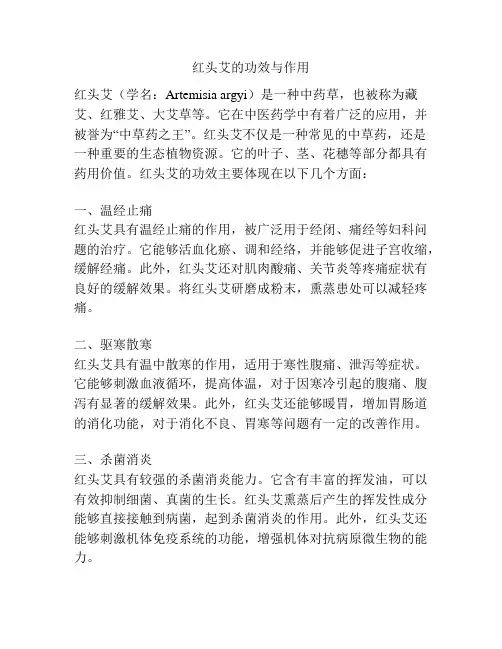 红头艾的功效与作用