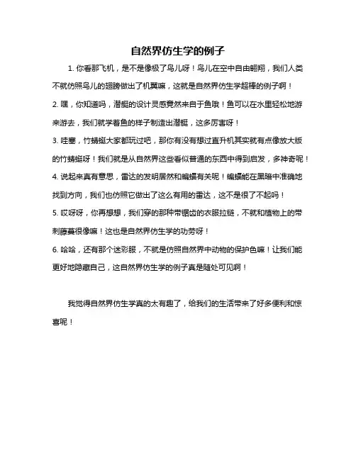 自然界仿生学的例子