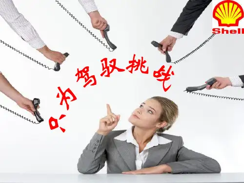 壳牌公司战略管理