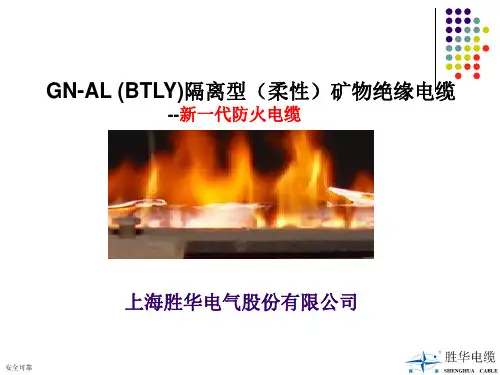 GN-AL(BTLY)隔离型矿物绝缘电缆产品(2)
