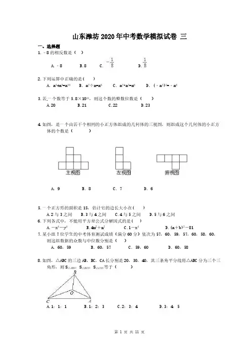 山东潍坊2020年中考数学模拟试卷 三(含答案)
