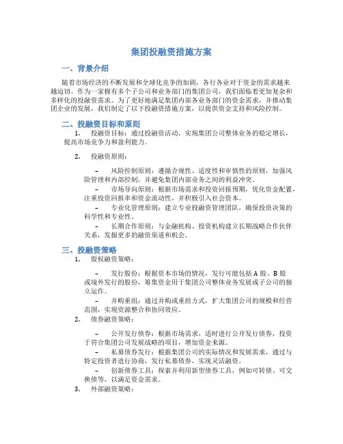 集团投融资措施方案
