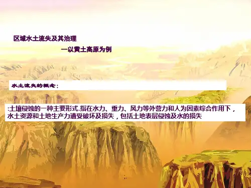 黄土高原的水土流失ppt课件