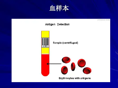 ABO血型鉴定试验
