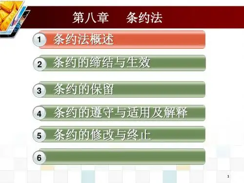 国际公法第八章 PPT
