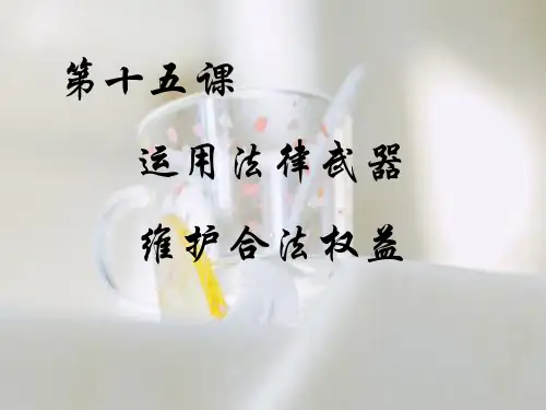 诉讼程序PPT教学课件
