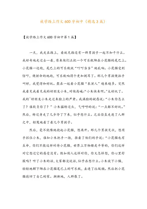 放学路上作文600字初中(精选3篇)