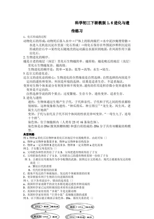 科学初三下浙教版1.6进化与遗传练习