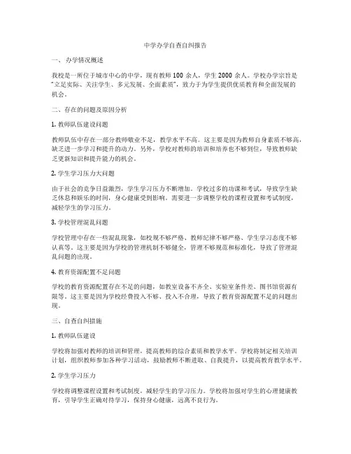 中学办学自查自纠报告