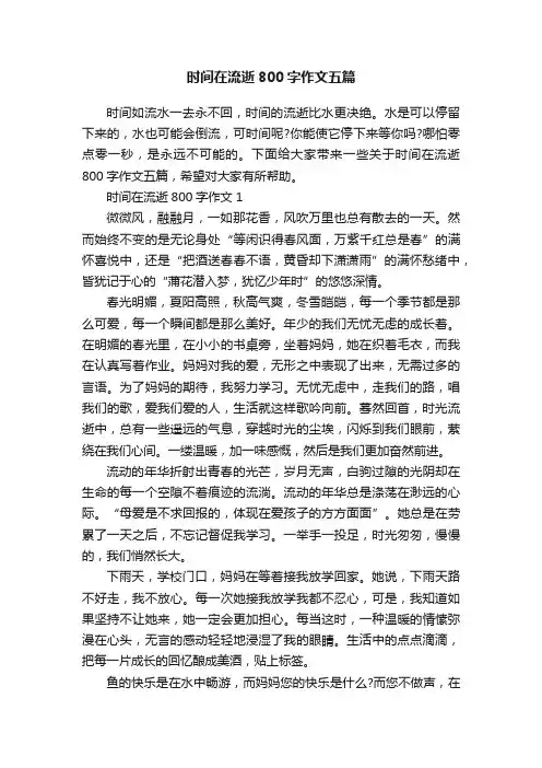 时间在流逝800字作文五篇