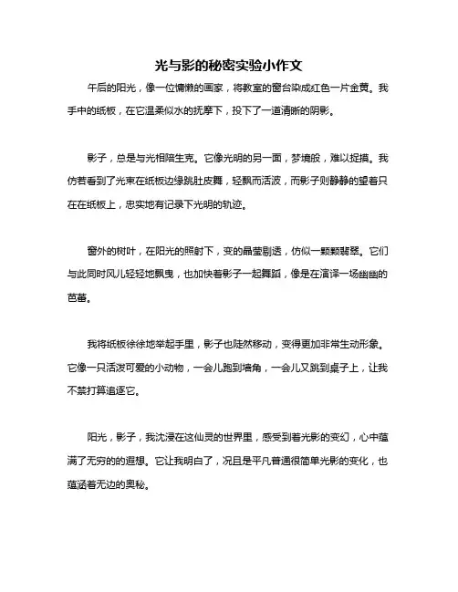 光与影的秘密实验小作文