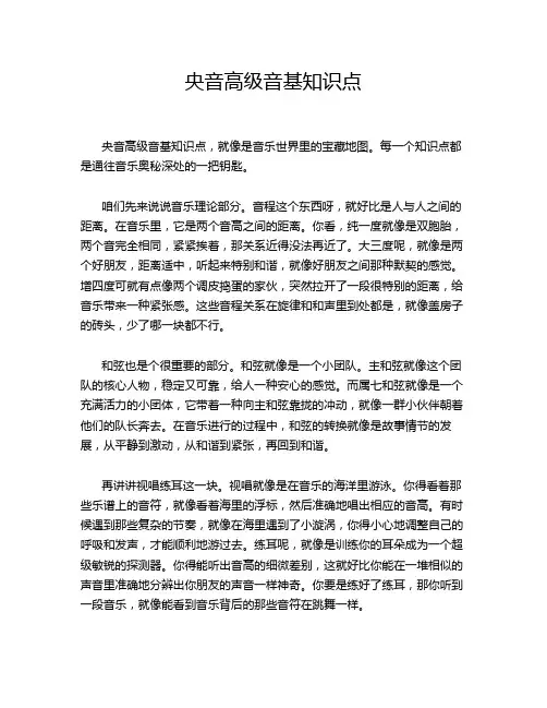 央音高级音基知识点