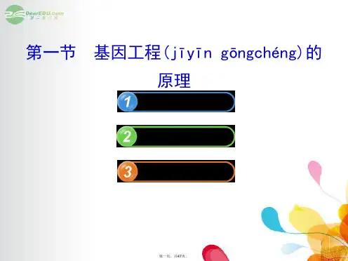 高中生物 1.1.1基因工程的原理课件 中图版选修3 