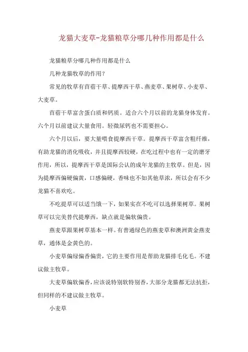 龙猫大麦草-龙猫粮草分哪几种作用都是什么