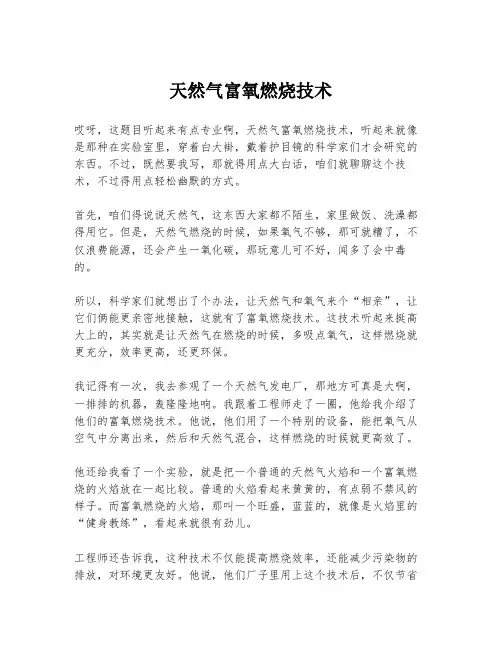 天然气富氧燃烧技术