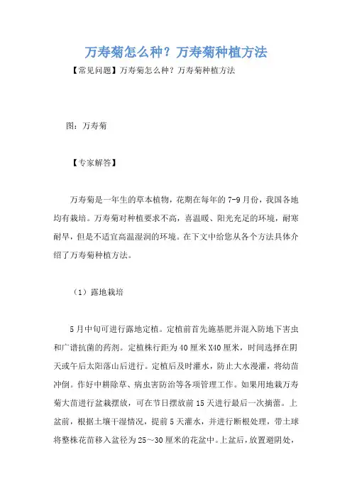 万寿菊怎么种？万寿菊种植方法