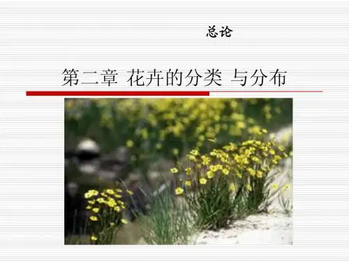 第二章 花卉的分类