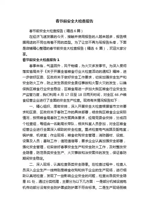 春节前安全大检查报告