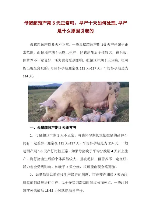 母猪超预产期5天正常吗,早产十天如何处理,早产是什么原因引起的