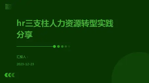 hr三支柱人力资源转型实践分享