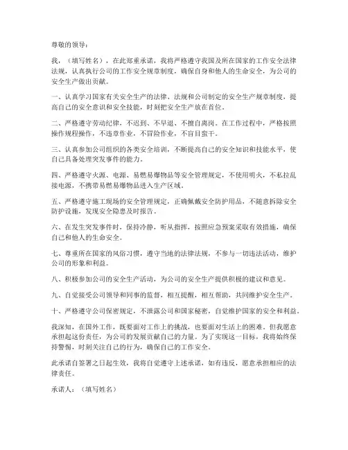 国外工作安全承诺书模板