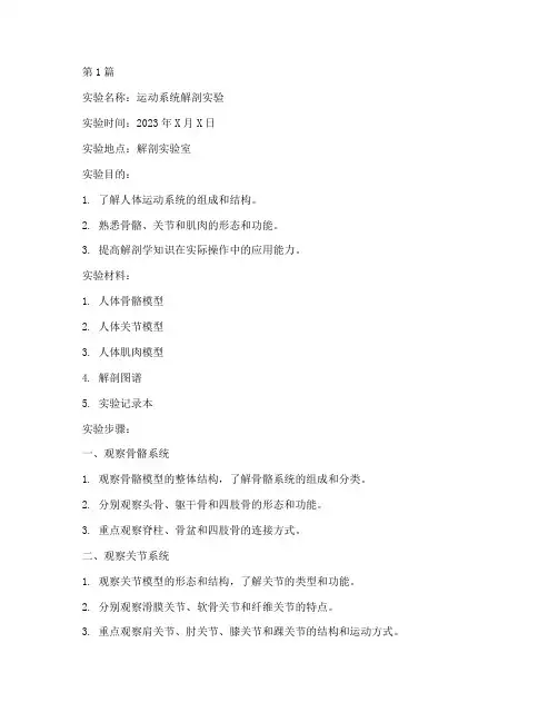 运动系统解剖实验报告(3篇)