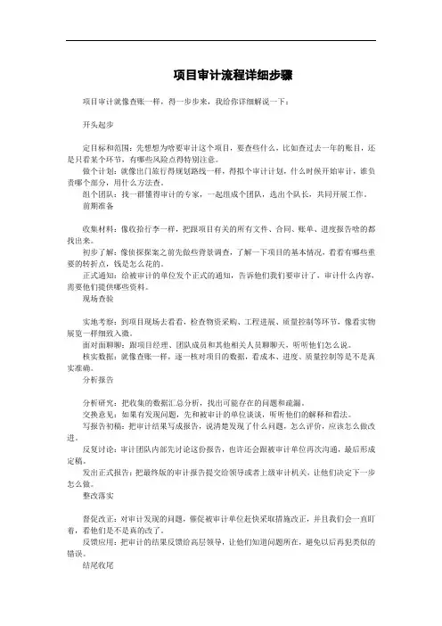 项目审计流程详细步骤