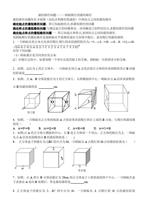 最短路径问题―――蚂蚁爬行的最短路径