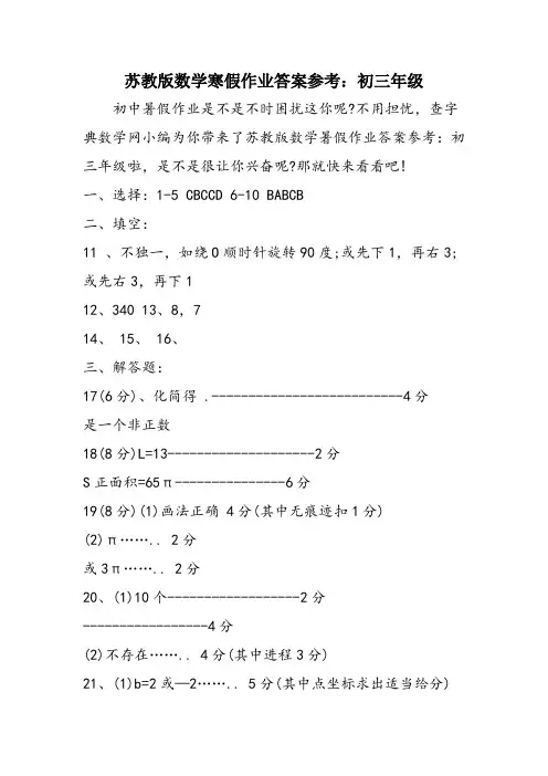 苏教版数学寒假作业答案参考：初三年级