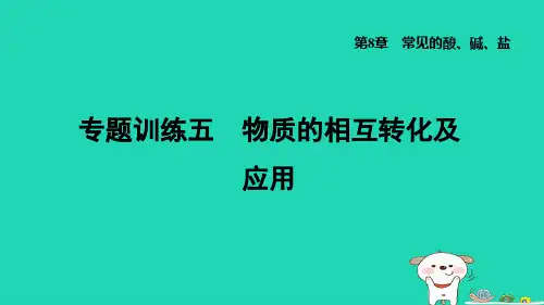 2024九年级化学下册第8章常见的酸碱盐专题训练五物质的相互转化及应用习题课件科粤版