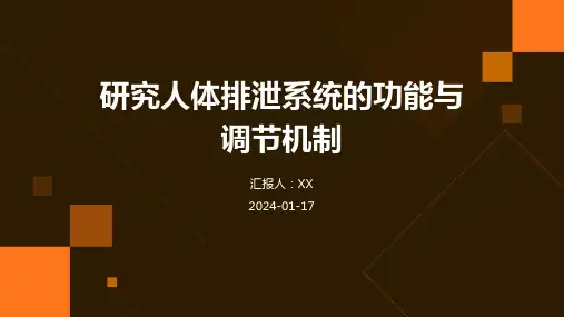 研究人体排泄系统的功能与调节机制