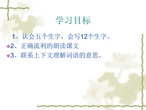29课呼风唤雨的世纪_PPT课件_