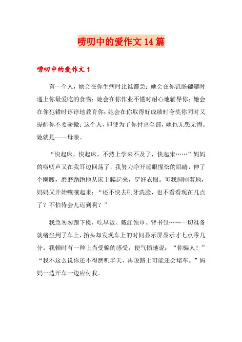 唠叨中的爱作文14篇