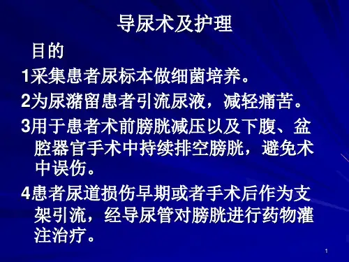 导尿术及护理ppt课件