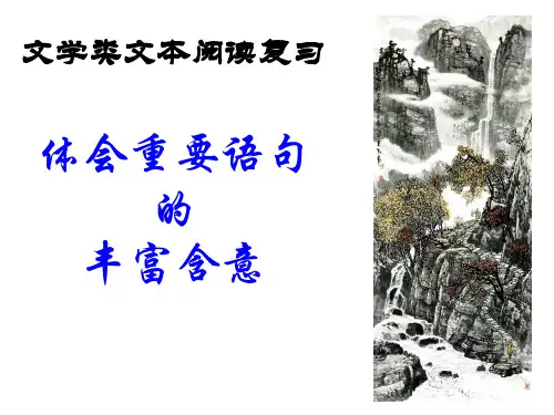 理解句子含意(精华版)23页PPT