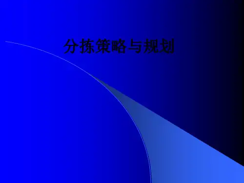 分拣策略与规划PPT课件