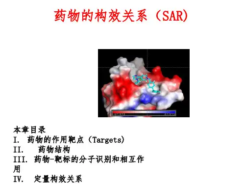药物的构效关系(SAR)