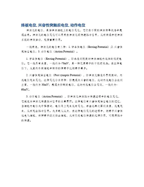 终板电位,兴奋性突触后电位,动作电位
